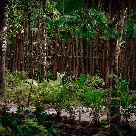 Lunita Jungle Experience Hotel Пуерто Морелос Екстериор снимка