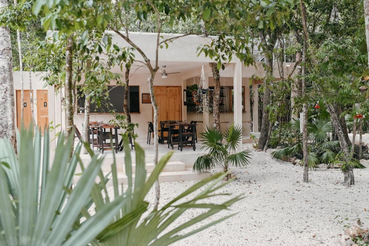 Lunita Jungle Experience Hotel Пуерто Морелос Екстериор снимка