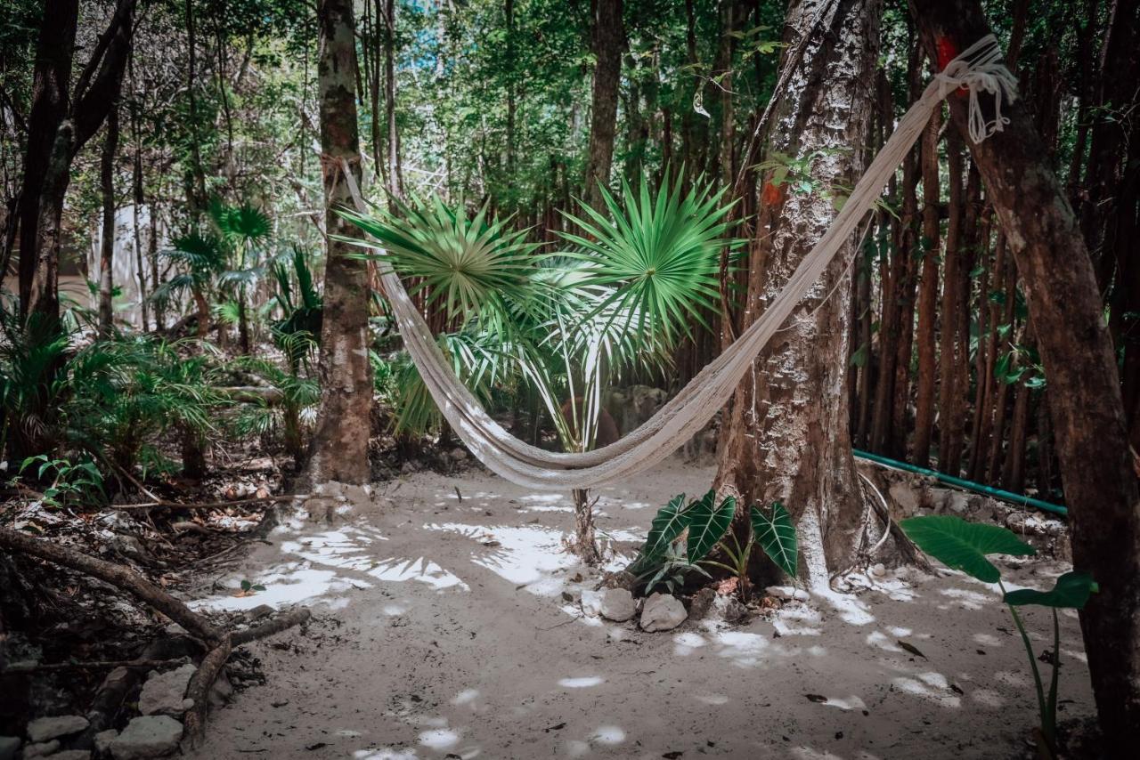 Lunita Jungle Experience Hotel Пуерто Морелос Екстериор снимка