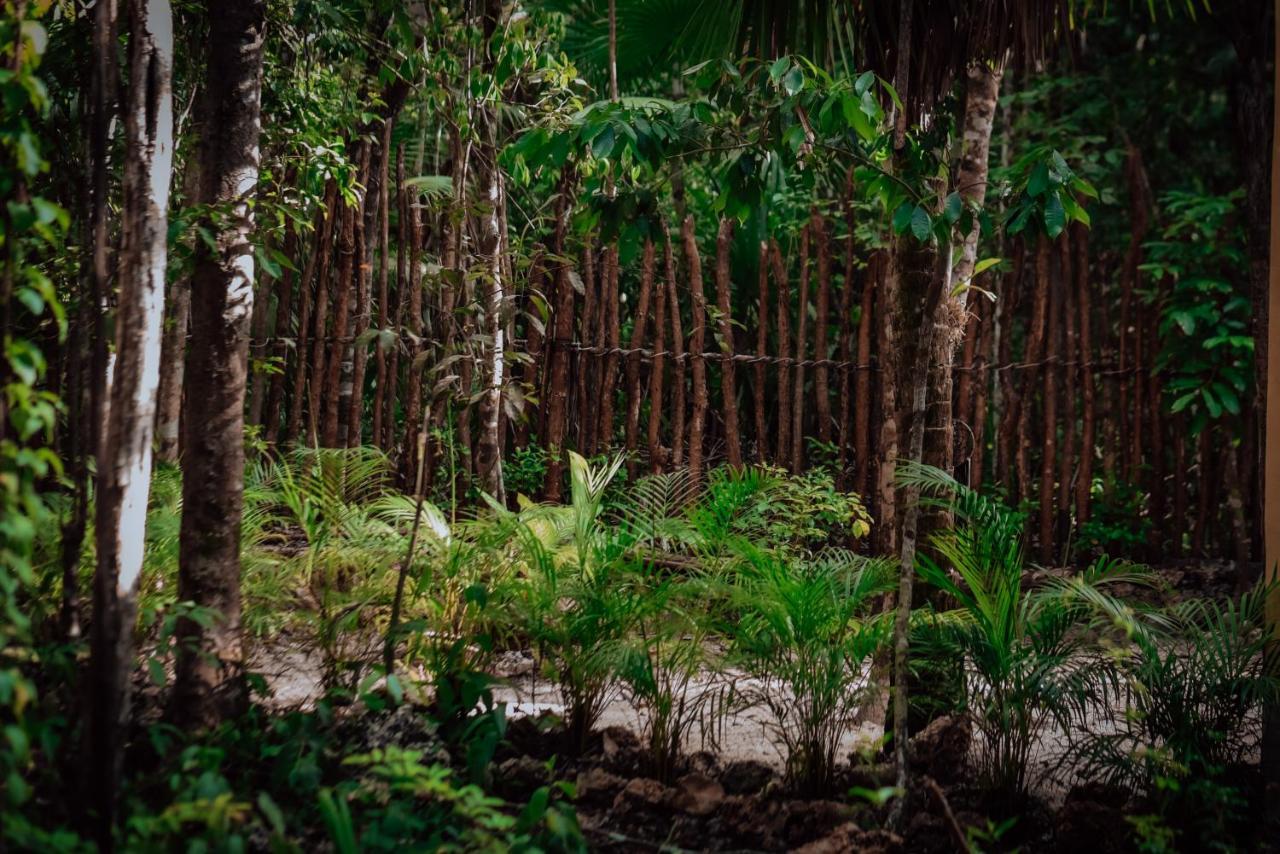 Lunita Jungle Experience Hotel Пуерто Морелос Екстериор снимка