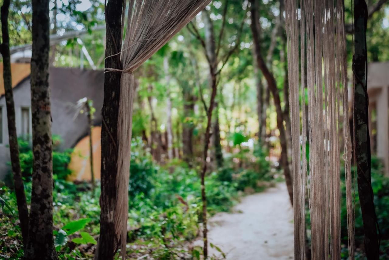 Lunita Jungle Experience Hotel Пуерто Морелос Екстериор снимка