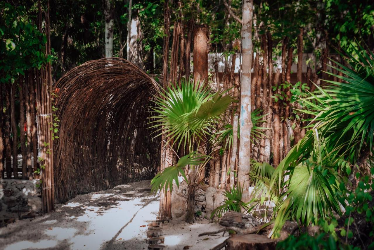 Lunita Jungle Experience Hotel Пуерто Морелос Екстериор снимка