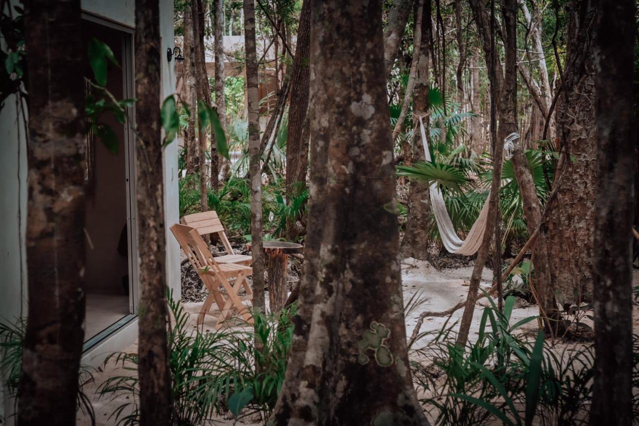 Lunita Jungle Experience Hotel Пуерто Морелос Екстериор снимка